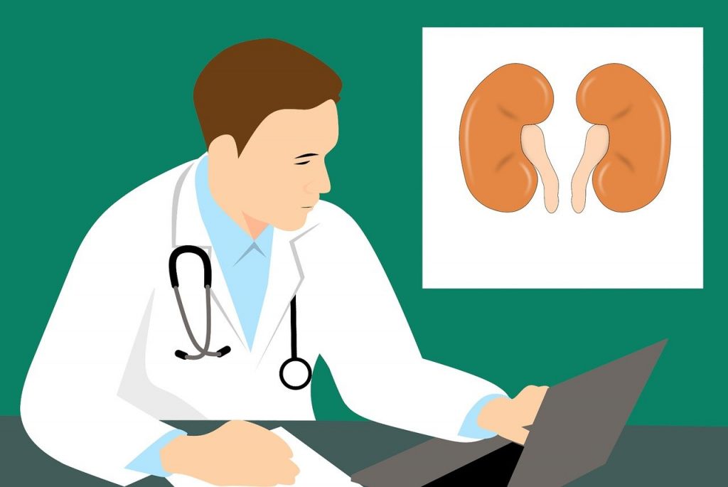 10 Impaired Lifestyles That Damage Kidneys