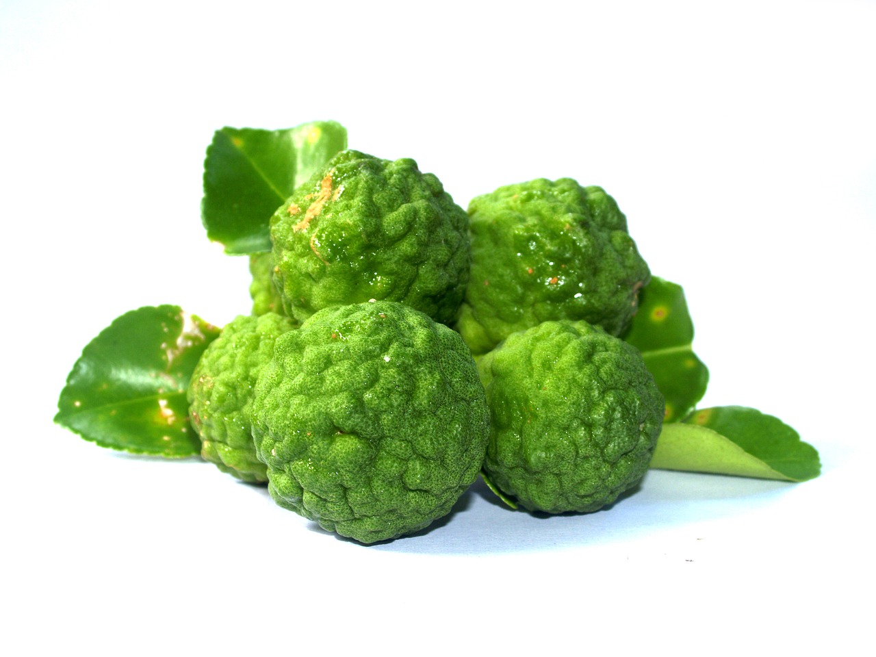 Kaffir Lime