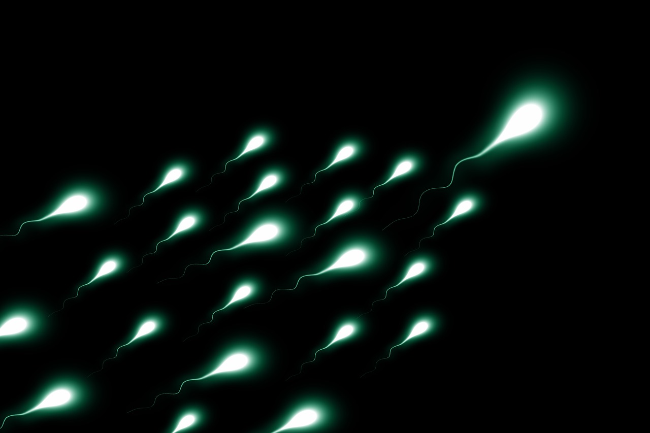 sperm